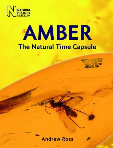 Beispielbild fr Amber: The Natural Time Capsule zum Verkauf von WorldofBooks