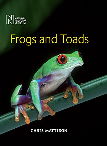 Stock image for Frogs and Toads for sale by WorldofBooks