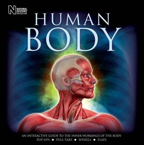 Stock image for Human Body: An Interactive Guide to the Inner Workings of the Body for sale by WorldofBooks