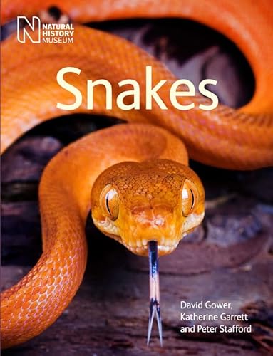 Beispielbild fr Snakes zum Verkauf von Better World Books Ltd