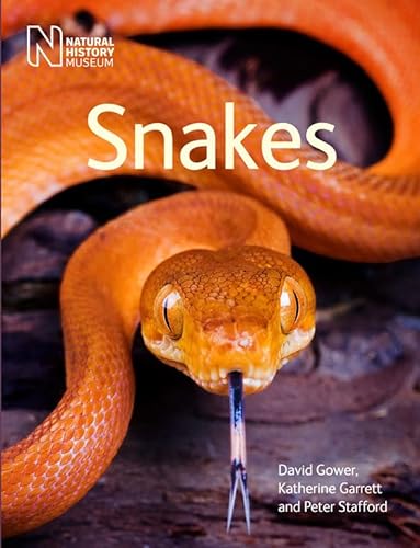Stock image for Snakes for sale by Better World Books Ltd
