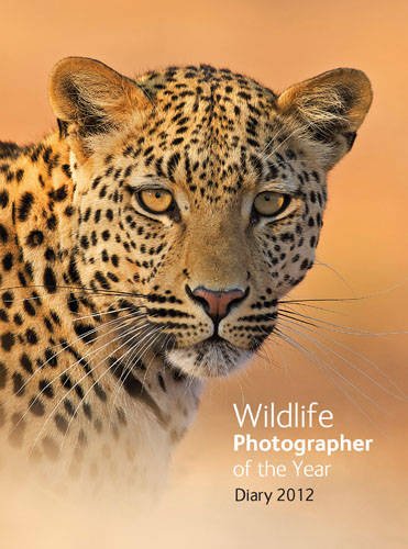 Imagen de archivo de Wildlife Photographer of the Year Desk Diary 2012 a la venta por WorldofBooks