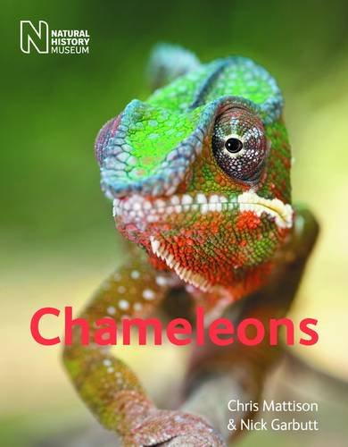 9780565092900: Chameleons. Christopher Mattison and Nick Garbutt