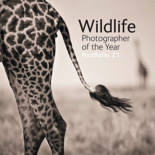 Stock image for Wildlife Photographer of the Year Portfolio 21 for sale by WorldofBooks
