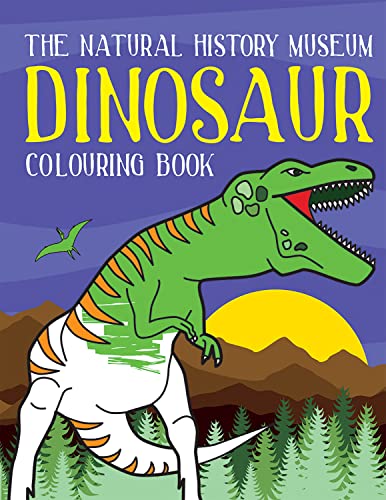 Stock image for Dinosaur Colouring Book for sale by WorldofBooks