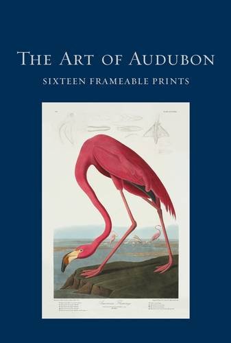 Imagen de archivo de The Art of Audubon: Sixteen Frameable Prints a la venta por Amnesty Bookshop, Bristol