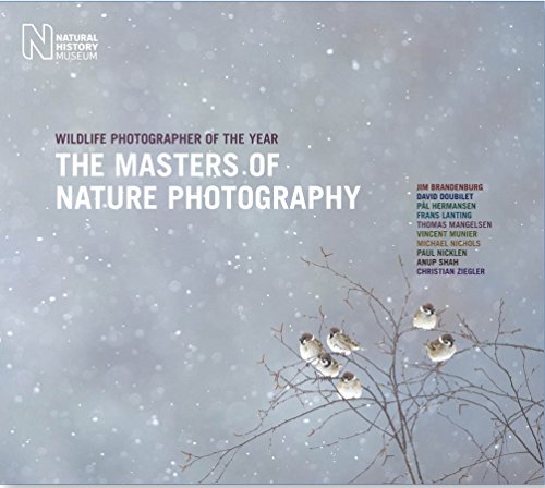 The Masters of Nature Photography: Wildlife Photographer of the Year - Rosamund Kidman Cox