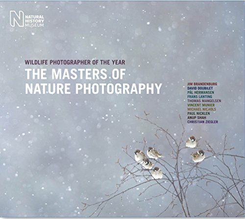 Stock image for The Wildlife Photographer of the Year: Masters of Nature Photography for sale by HPB-Emerald