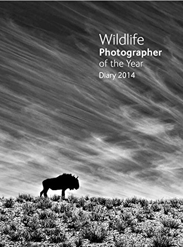 Imagen de archivo de Wildlife Photographer of the Year Desk Diary 2014 a la venta por WorldofBooks