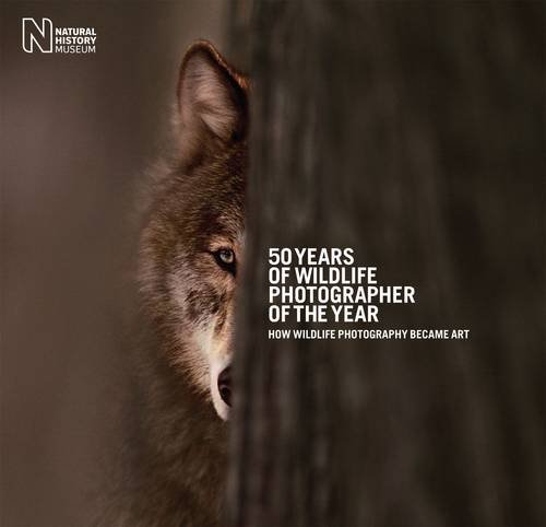 9780565093266: 50 Years of Wildlife Photographer of the Year