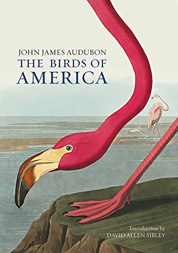 Imagen de archivo de The Birds of America a la venta por Chiron Media