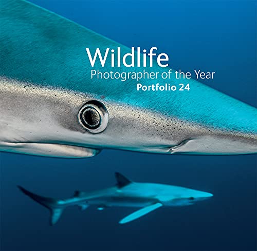 Imagen de archivo de Wildlife Photographer of the Year: Portfolio 24 a la venta por WorldofBooks