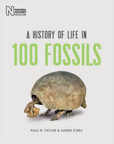 Stock image for A History of Life in 100 Fossils for sale by Better World Books Ltd