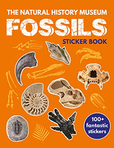 Beispielbild fr Fossils Sticker Book zum Verkauf von WorldofBooks