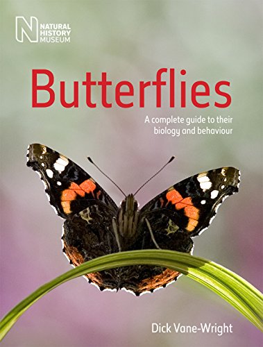 Stock image for Butterflies for sale by Blackwell's