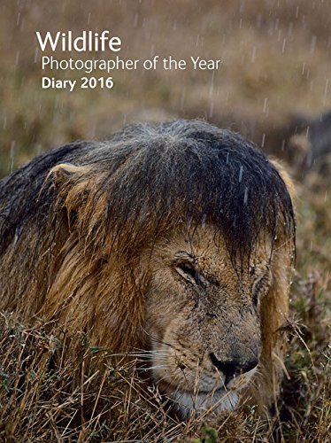 Stock image for Wildlife Photographer of the Year Desk Diary 2016 (Wildlfie Photographer of the Year Diarie) for sale by Hippo Books
