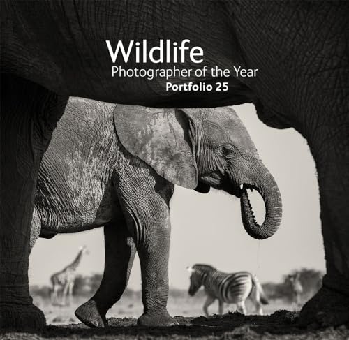 Imagen de archivo de Wildlife Photographer of the Year: Portfolio 25 a la venta por WorldofBooks