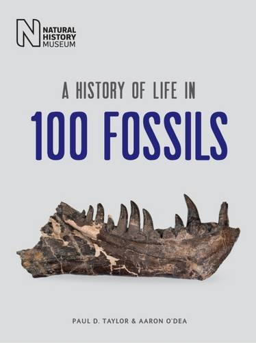 9780565093822: A History of Life in 100 Fossils