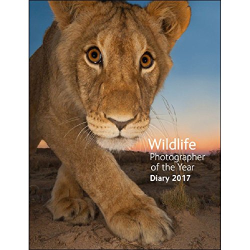 Imagen de archivo de Wildlife Photographer of the Year Desk Diary 2017 (Wildlife Photographer of the Year Diaries) a la venta por AwesomeBooks