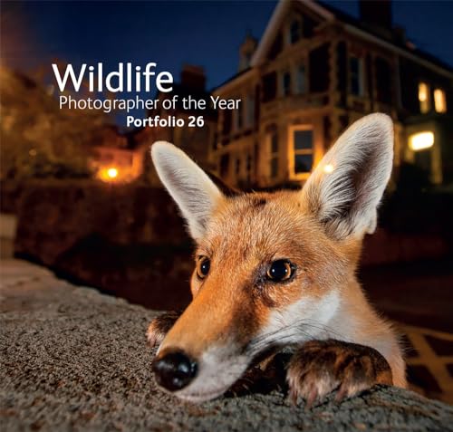 Beispielbild fr Wildlife Photographer of the Year: Portfolio 26: Volume 26 zum Verkauf von WorldofBooks