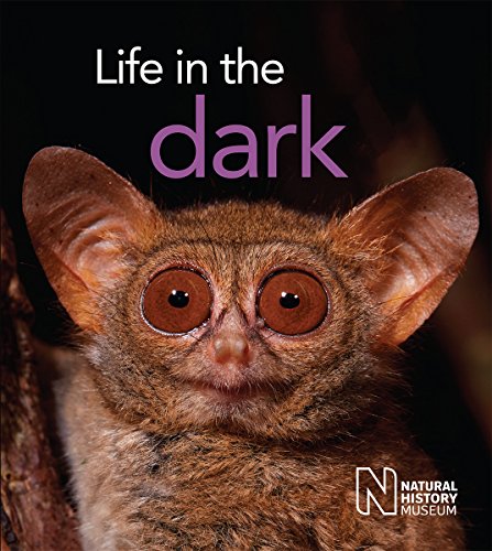 Beispielbild fr Life in the Dark zum Verkauf von WorldofBooks