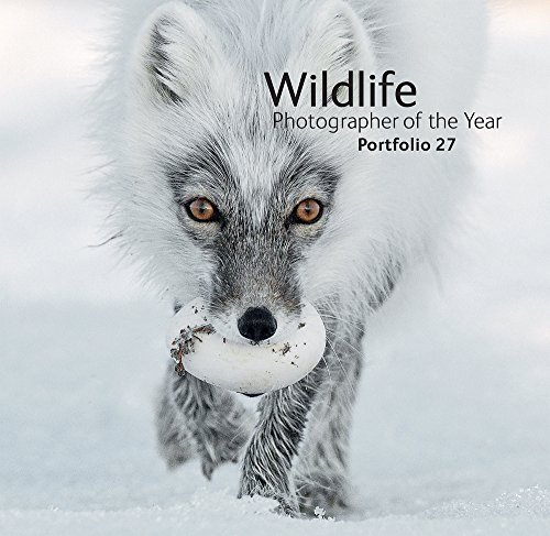 Imagen de archivo de Wildlife Photographer of the Year: Portfolio 27 a la venta por WorldofBooks