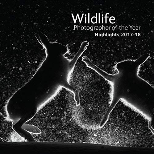 Imagen de archivo de Wildlife Photographer of the Year: Highlights Volume 3: 27 a la venta por WorldofBooks