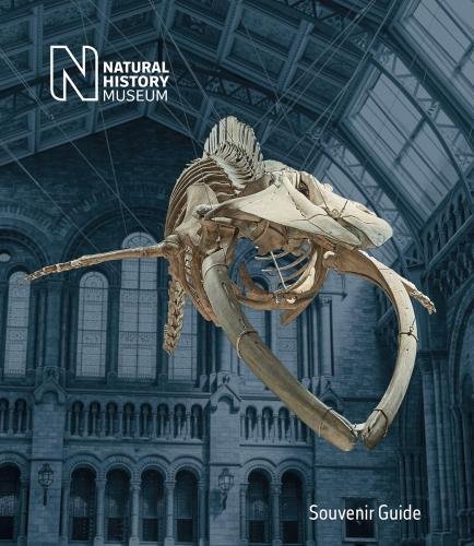 Beispielbild fr Natural History Museum: Souvenir Guide zum Verkauf von WorldofBooks