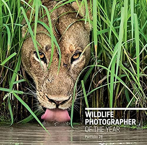 9780565094287: Wildlife Photographer of the Year: Portfolio 28