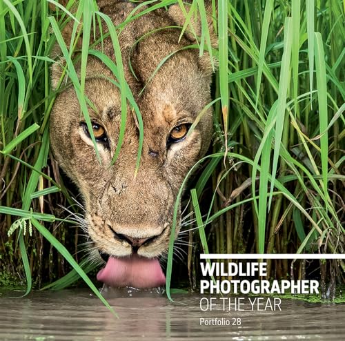 Imagen de archivo de Wildlife Photographer of the Year: Portfolio 28 a la venta por AwesomeBooks