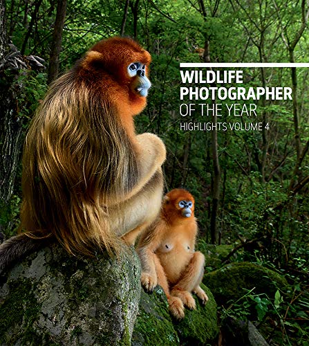 Stock image for Wildlife Photographer of the Year: Highlights Volume 4 for sale by WorldofBooks