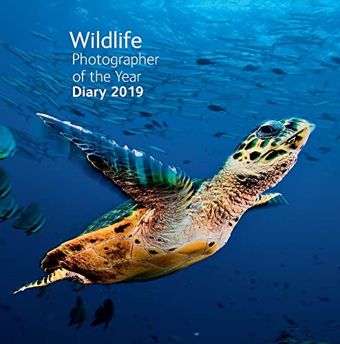 Stock image for Wildlife Photographer of the Year Pocket Diary 2019 (Wildlife Photographer of the Year Diaries) for sale by WorldofBooks