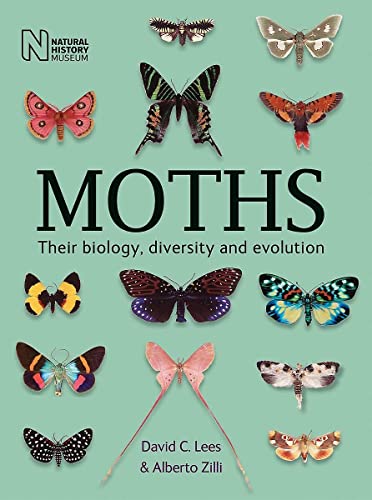 Stock image for Moths for sale by Prestige Books