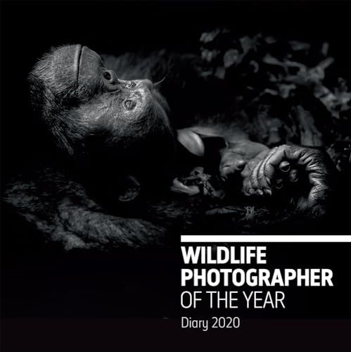 Stock image for Wildlife Photographer of the Year Desk Diary 2020 (Wildlife Photographer of the Year Diaries) for sale by WorldofBooks