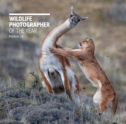 Beispielbild fr Wildlife Photographer of the Year: Portfolio 29 zum Verkauf von WorldofBooks