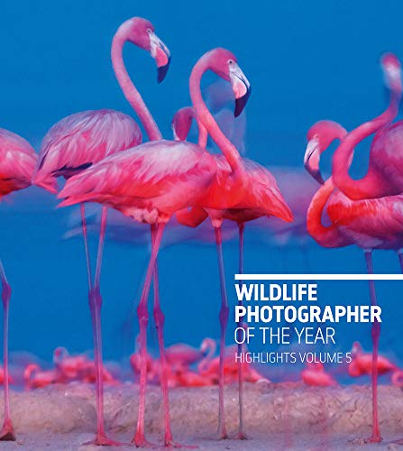 Beispielbild fr Wildlife Photographer of the Year: Highlights Volume 5 zum Verkauf von WorldofBooks