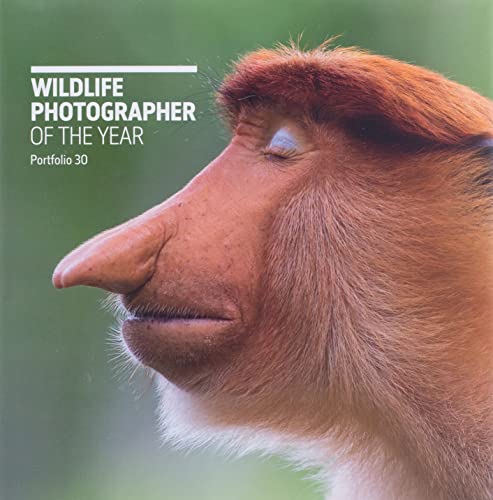 Beispielbild fr Wildlife Photographer of the Year: Portfolio 30 zum Verkauf von WorldofBooks