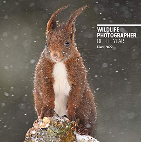 Stock image for Wildlife Photographer of the Year Pocket Diary 2022 (Wildlife Photographer of the Year Diaries) for sale by WorldofBooks