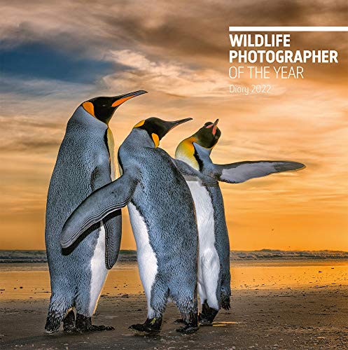 Imagen de archivo de Wildlife Photographer of the Year Desk Diary 2022 (Wildlife Photographer of the Year Diaries) a la venta por WorldofBooks