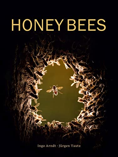 Beispielbild fr Honey Bees zum Verkauf von AMM Books