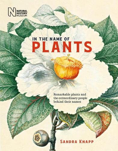 Stock image for In The Name Of Plants for sale by GreatBookPrices