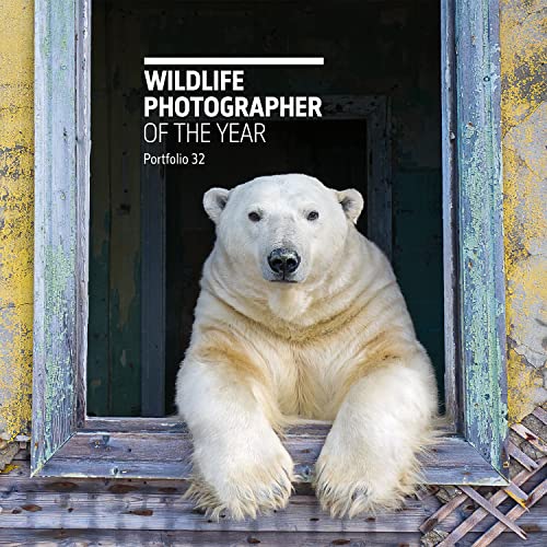 Stock image for Wildlife Photographer of the Year. Portfolio 32 for sale by Blackwell's