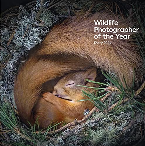 Beispielbild fr Wildlife Photographer of the Year zum Verkauf von Blackwell's