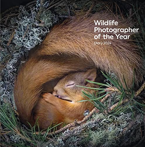 Wildlife Photographer of the Year:...