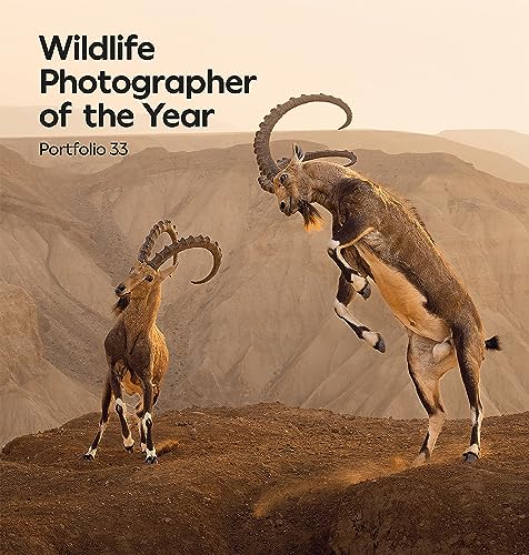 Beispielbild fr Wildlife Photographer of the Year: Portfolio 33 (33) [Hardcover] Kidman Cox, Rosamund zum Verkauf von Lakeside Books