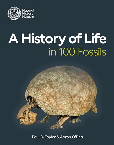 Stock image for A History Of Life In 100 Fossils for sale by GreatBookPrices