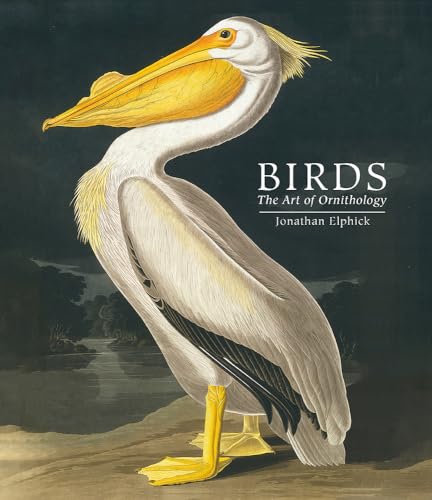 Beispielbild fr Birds: The Art of Ornithology (Pocket edition) zum Verkauf von WorldofBooks