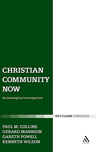 9780567032423: Christian Community Now: Ecclesiological Investigations