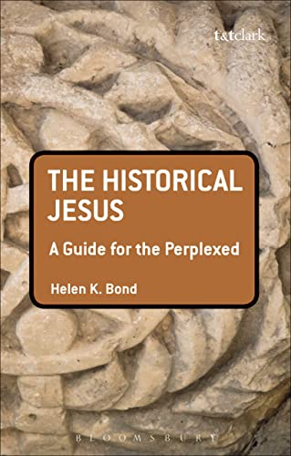 9780567033178: The Historical Jesus: A Guide for the Perplexed (Guides for the Perplexed)