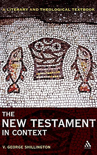 9780567034045: The New Testament in Context: A Literary and Theological Textbook